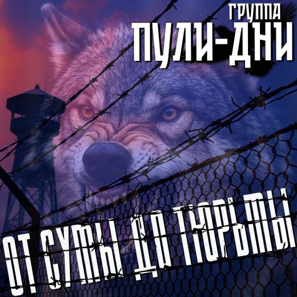 Группа Пули-Дни - Светка (Ремикс)
