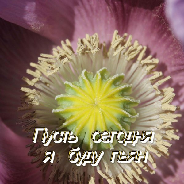 Сергей Грищук - ЛЮБИТЬ ВЕЧНО