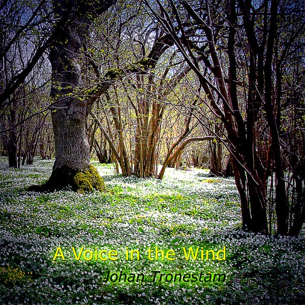 Johan Tronestam - A Voice in the Wind