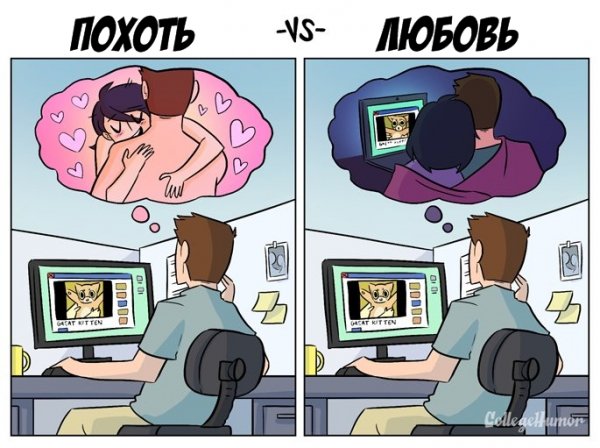 Любовь и похоть 4