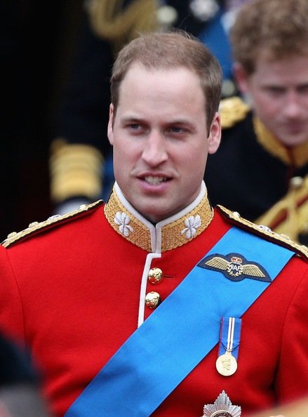 picture_355172746