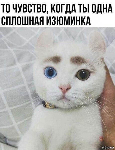 )