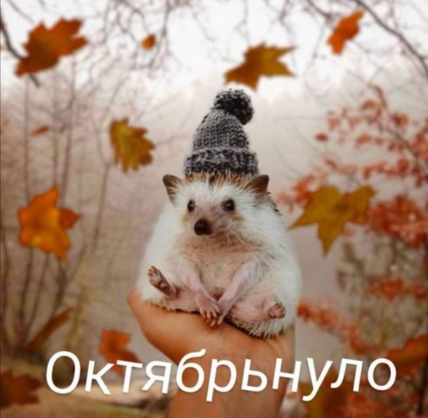 04fd54f22d52fcc16e7e7c6ae874cbea