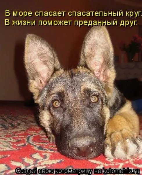 Так!