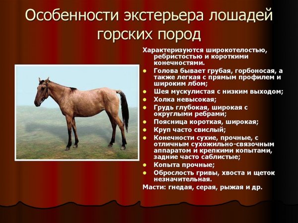 Особенности
