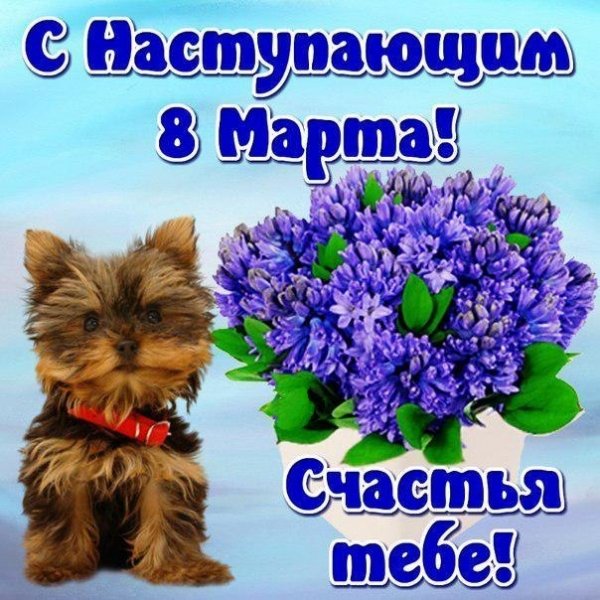 Изображение viber 2023-03-07 13-17-56-283