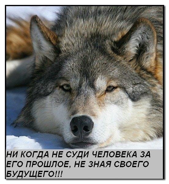 Никогда не суди человека за прошлое