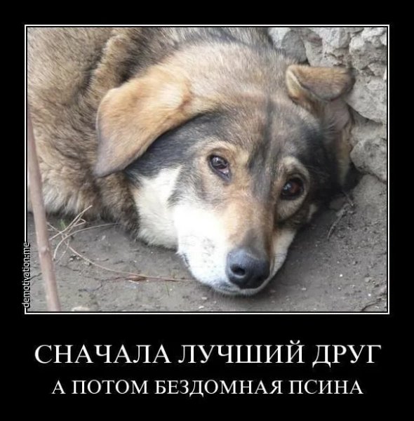 Без комментариев