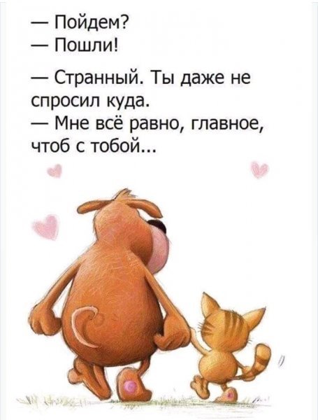 picture_382743656