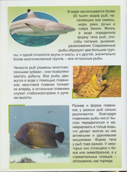Это интересно