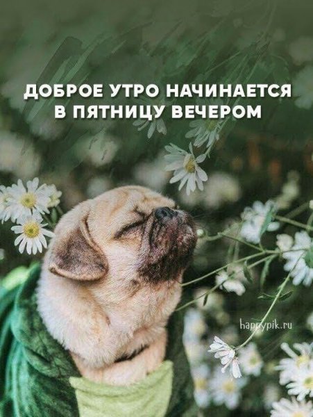 Да! ))