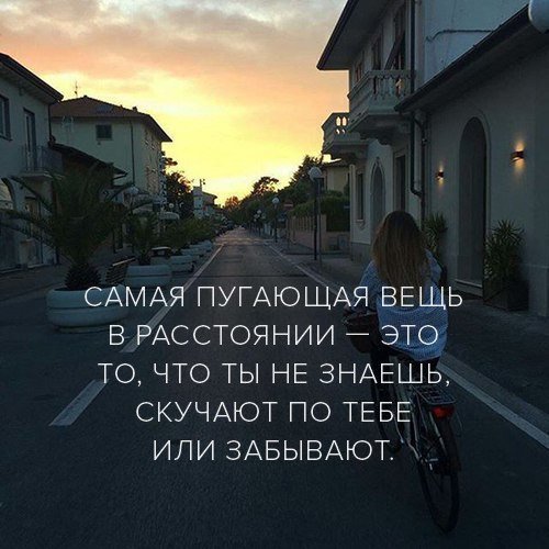 picture_209398216
