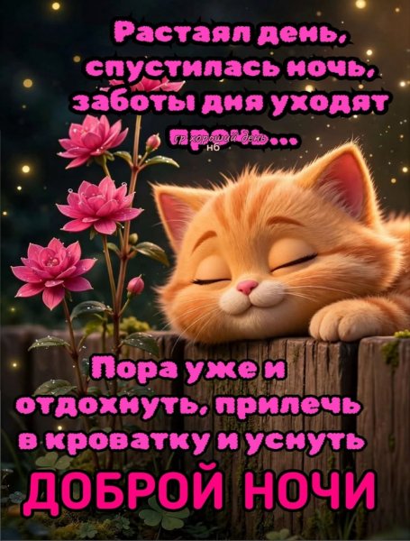 27cca1d791e5ee5250b8a95e8963b6c0