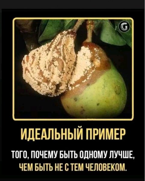 ETo npumep