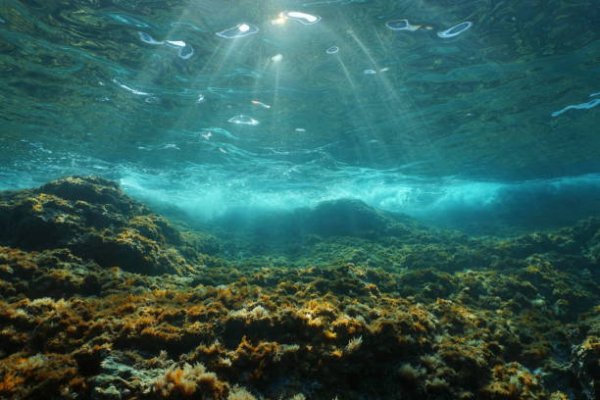 Подводный-солнечный-свет-каменистое-морское-дно-средиземного