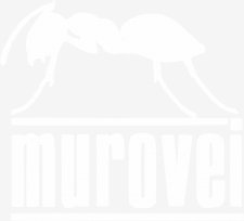 Murovei art