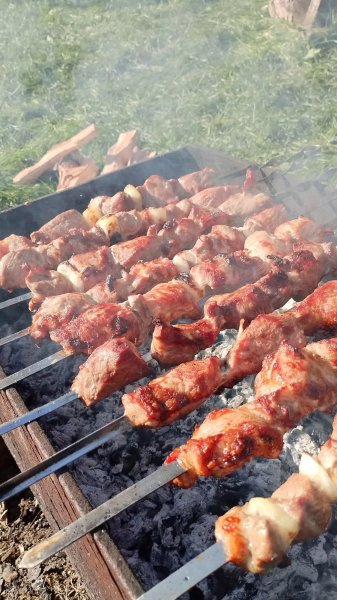 IMG 20261004 123814