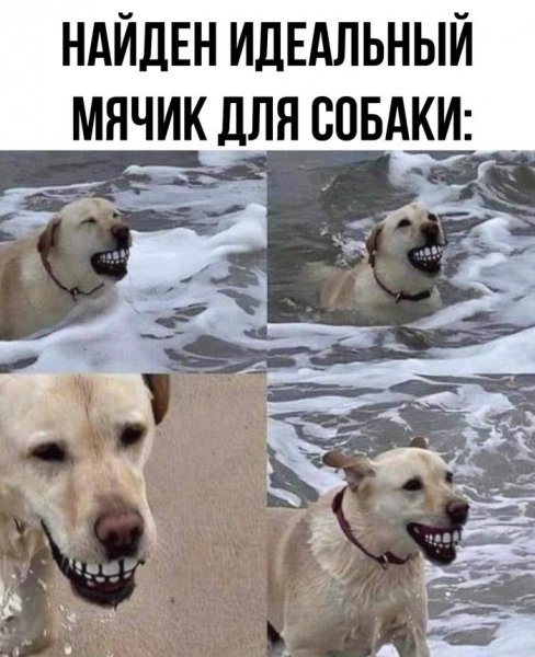 Do-slez-smeshnye-memy-i-kartinki-s-kommentarijami-6