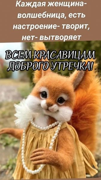 IMG 20260814 071741 664