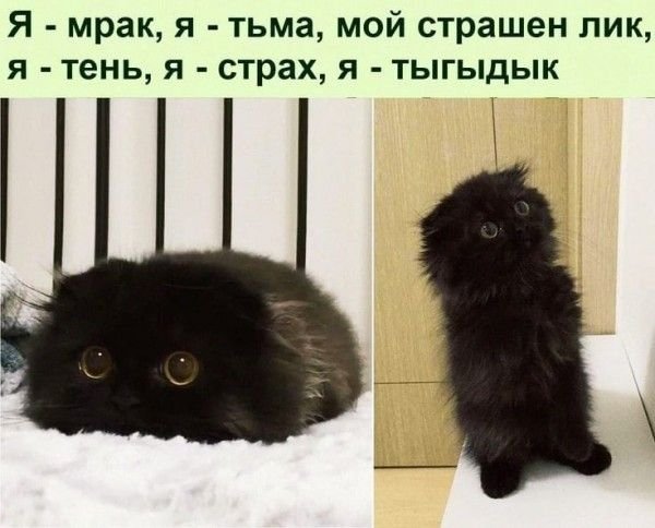 Я - тыгыдык