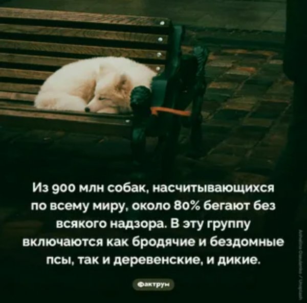Это интересно