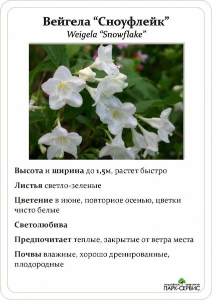 Для нашего сада