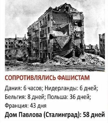 58 дней