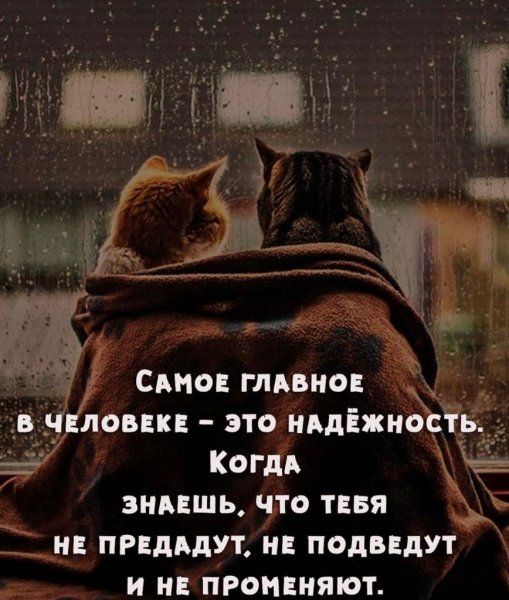 IMG-20220720-WA0001