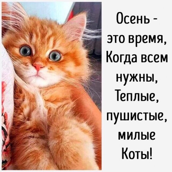 Так и есть!