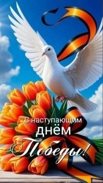 picture_387470448