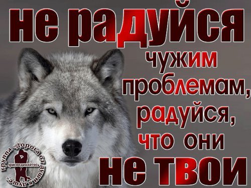 picture_213186959