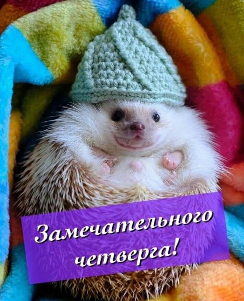 C39e3e84905080414de11656716e12d3