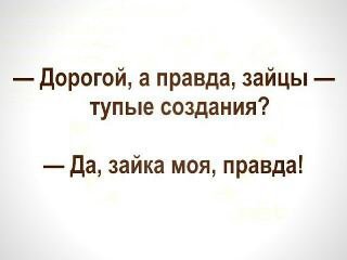 Файл #211986214
