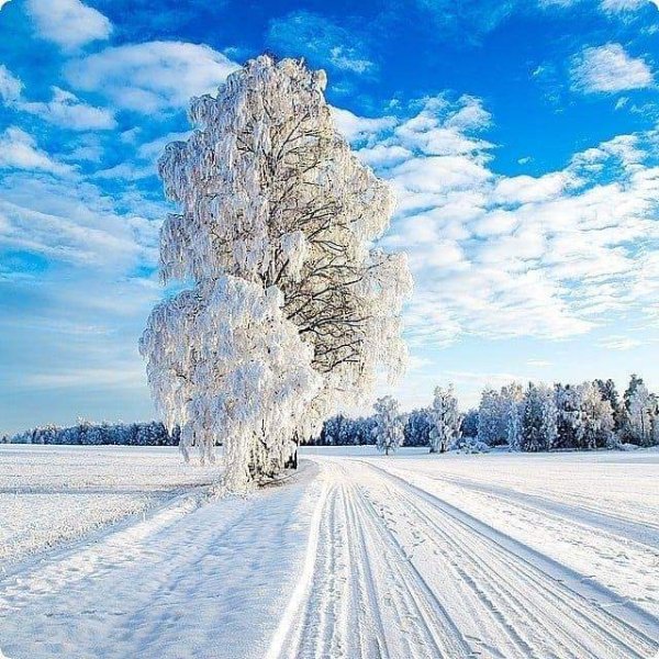 FB IMG 1544991168868