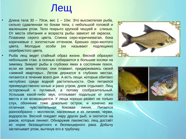 Лещ