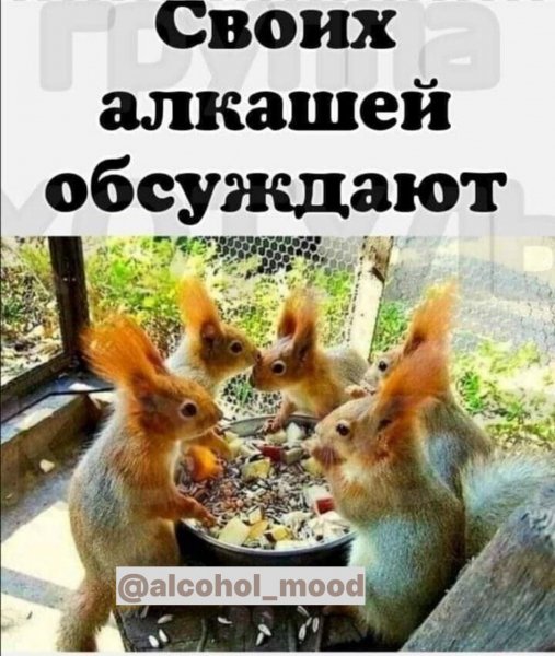 IMG 20251021 233729 277