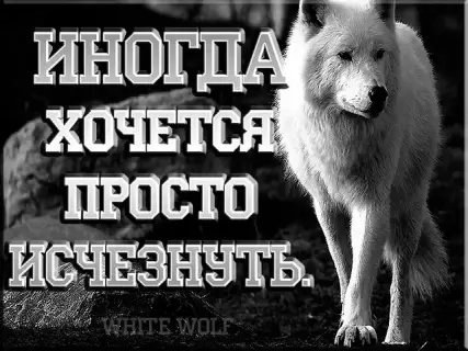 picture_212345783