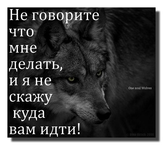 Красавчик