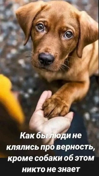 Так!