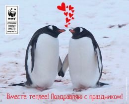 IMG-20160212-WA0000