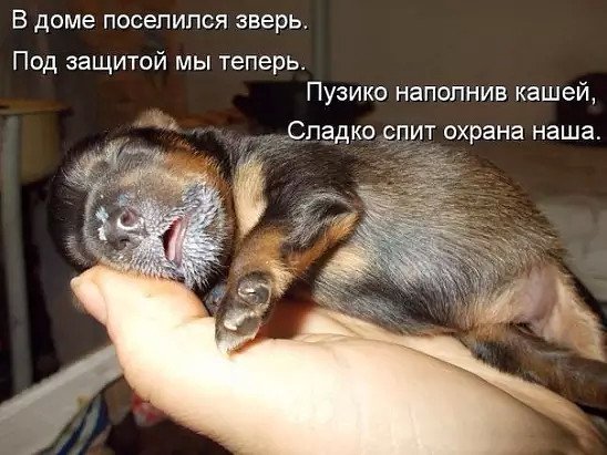 image (2)