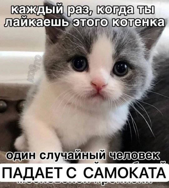 Hhdroyht