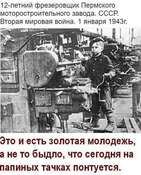 Золотая Молодежь