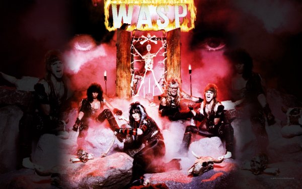 Music wasp 304545
