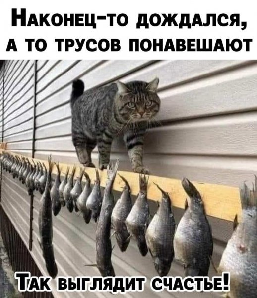 Да! ))