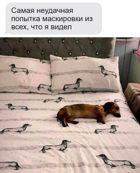 GuQRBiYQ