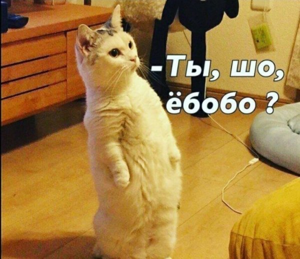 p. 600. 600. 0