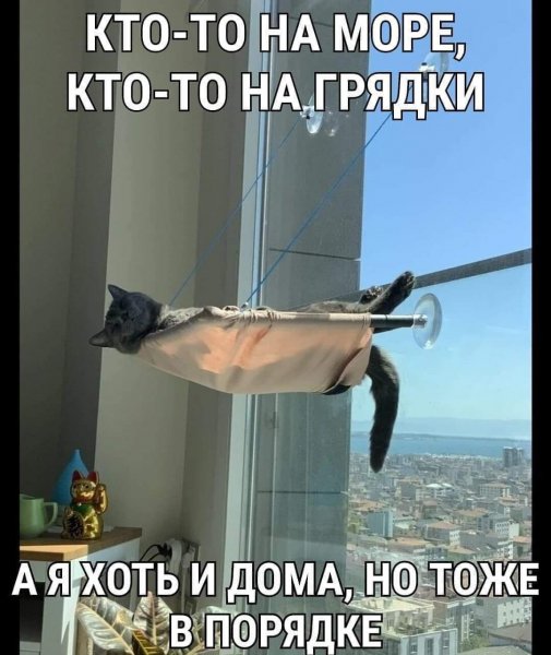 FB IMG 1626060533489