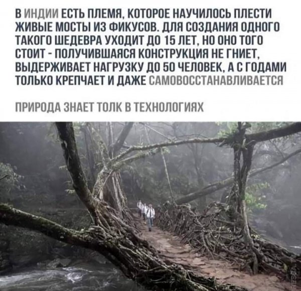 FB IMG 1611637916318