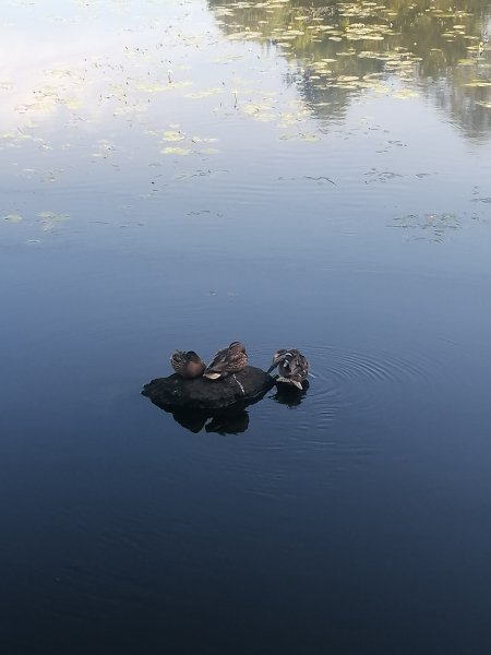 IMG 20240706 184844